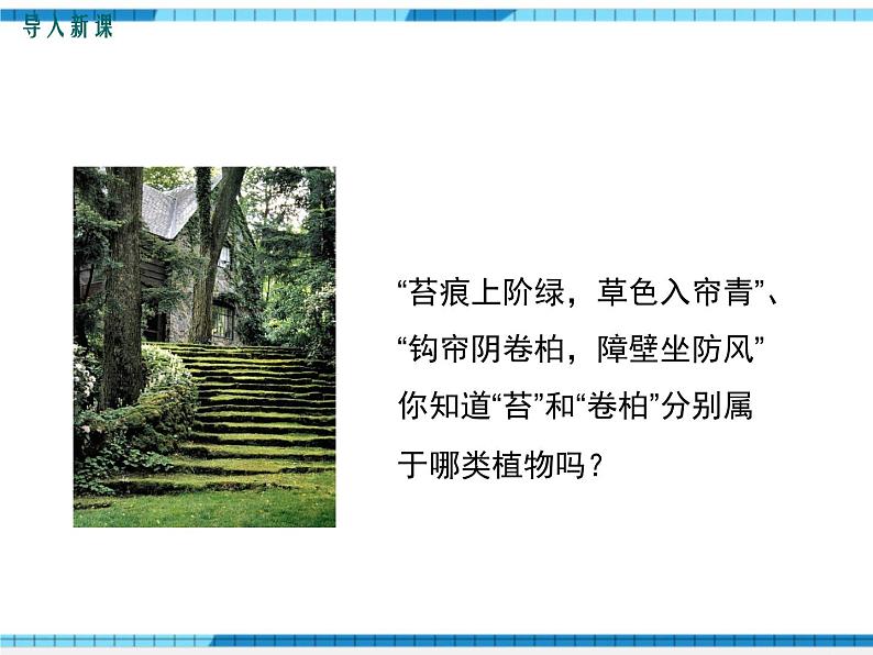 第22章物种的多样性第3节植物的主要类群第1课时苔藓植物和蕨类植物课件第2页