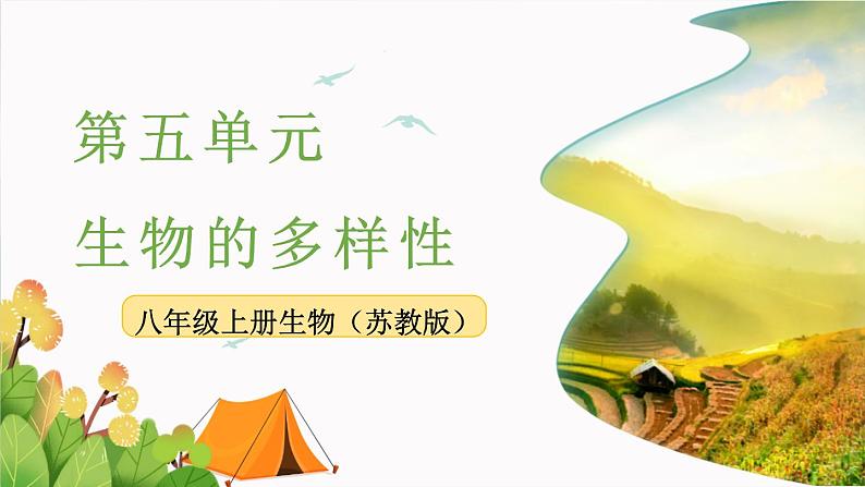 第十四章丰富多彩的生物世界第二节千姿百态的动物世界第2课时课件第1页