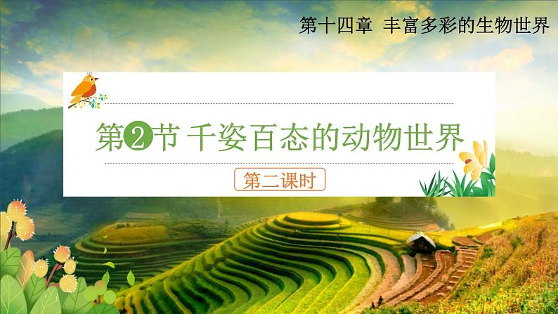 第十四章丰富多彩的生物世界第二节千姿百态的动物世界第2课时课件第2页