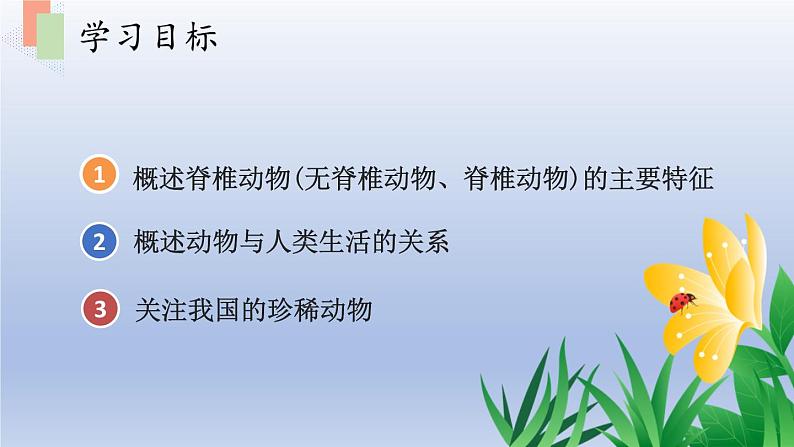 第十四章丰富多彩的生物世界第二节千姿百态的动物世界第2课时课件第3页