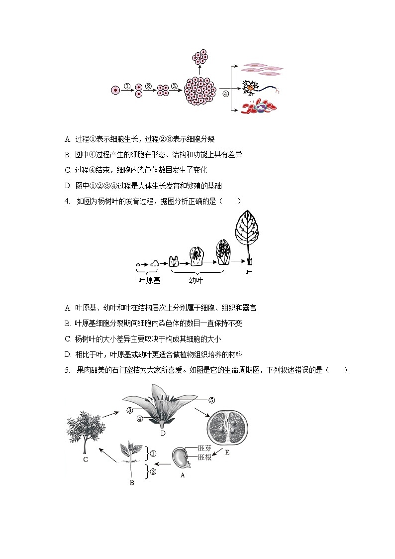 2022-2023学年山东省泰安市宁阳县八年级(下)期中生物试卷(五四学制)(含解析)第2页