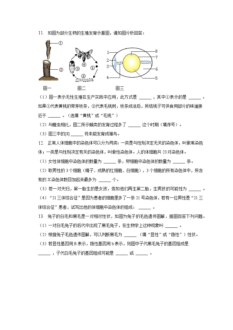 2022-2023学年安徽省池州市贵池区等2地联考八年级(下)期中生物试卷(含解析)03