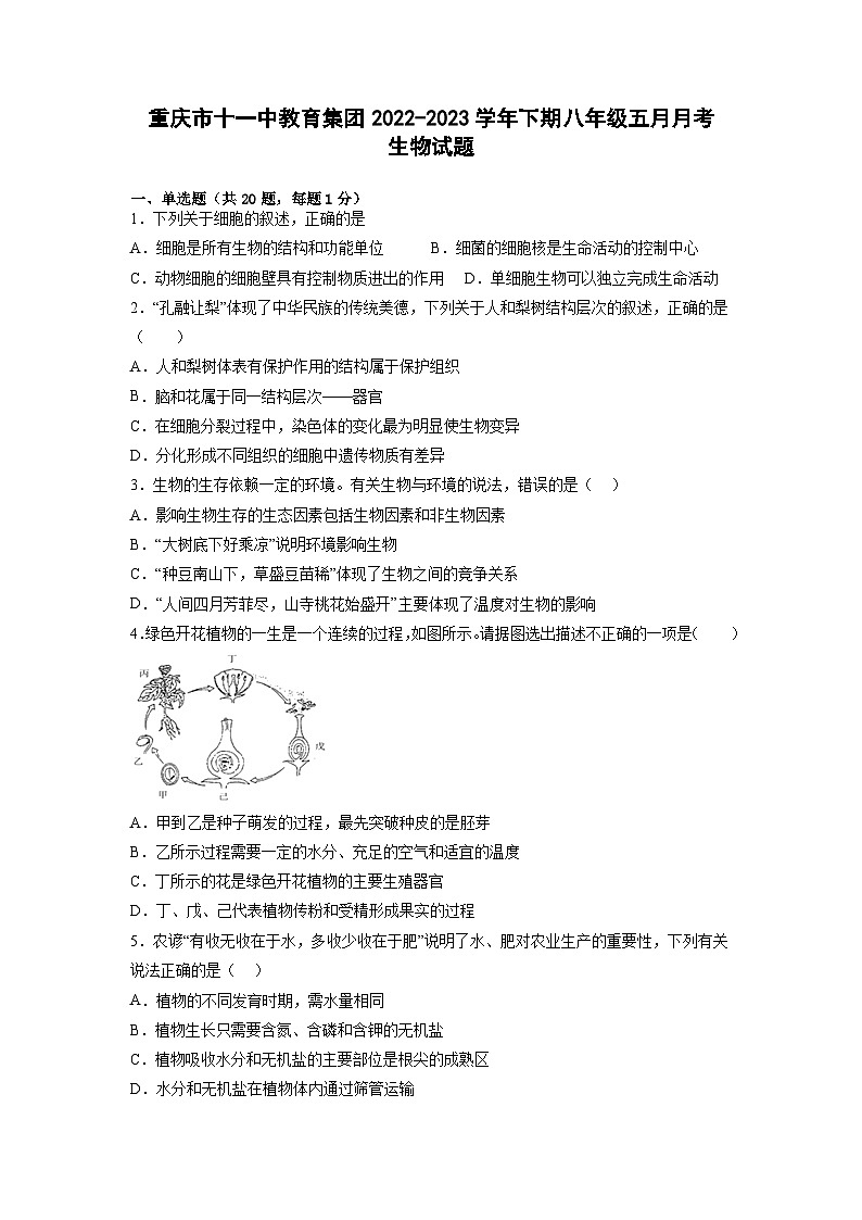 重庆市第十一中教育集团2022-2023学年八年级下学期5月月考生物试题第1页