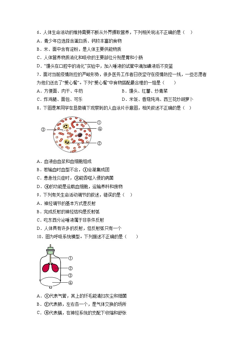 重庆市第十一中教育集团2022-2023学年八年级下学期5月月考生物试题第2页
