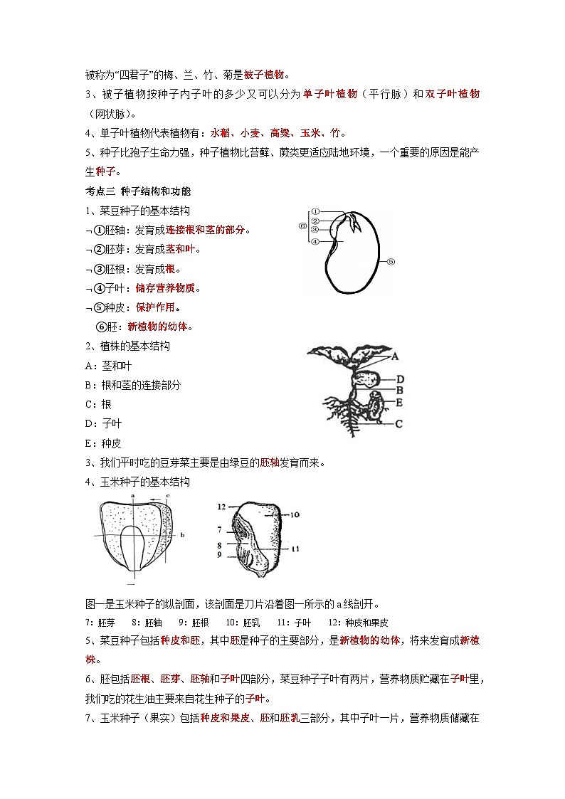 专题05 生物圈中有哪些绿色植物-2022年中考生物一轮复习抓重点考典型(人教版)(解析版)第3页