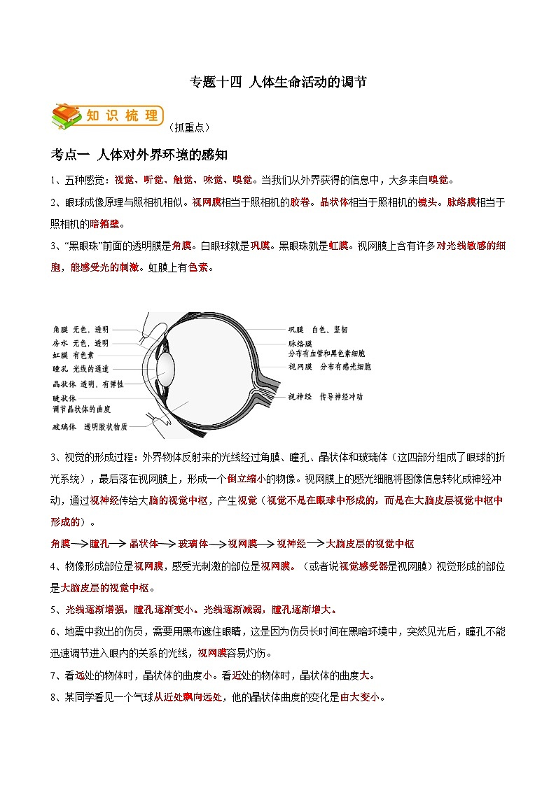 专题14 人体生命活动的调节-2022年中考生物一轮复习抓重点考典型(人教版)(解析版)第1页
