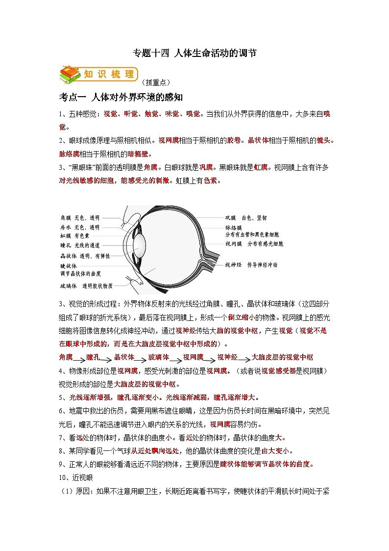 专题14 人体生命活动的调节-2022年中考生物一轮复习抓重点考典型(人教版)(原卷版)第1页