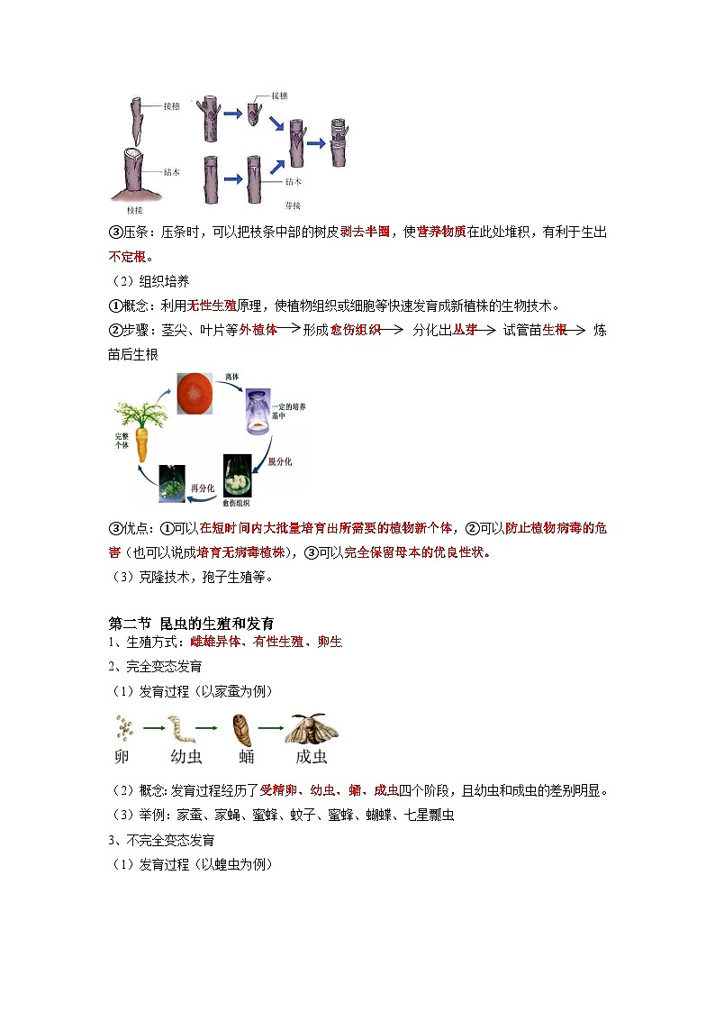 专题19 生物的生殖和发育-2022年中考生物一轮复习抓重点考典型(人教版)(原卷版)第2页