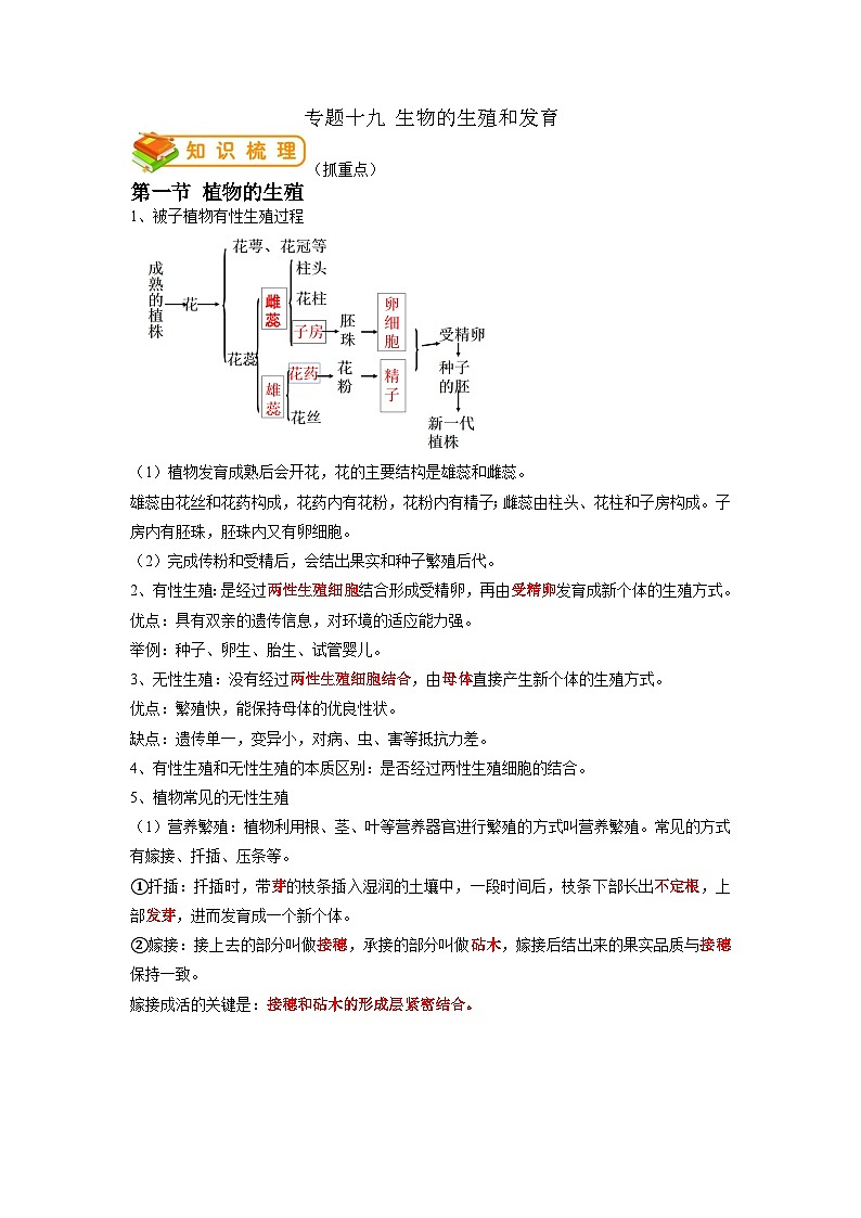 专题19 生物的生殖和发育-2022年中考生物一轮复习抓重点考典型(人教版)(解析版)第1页