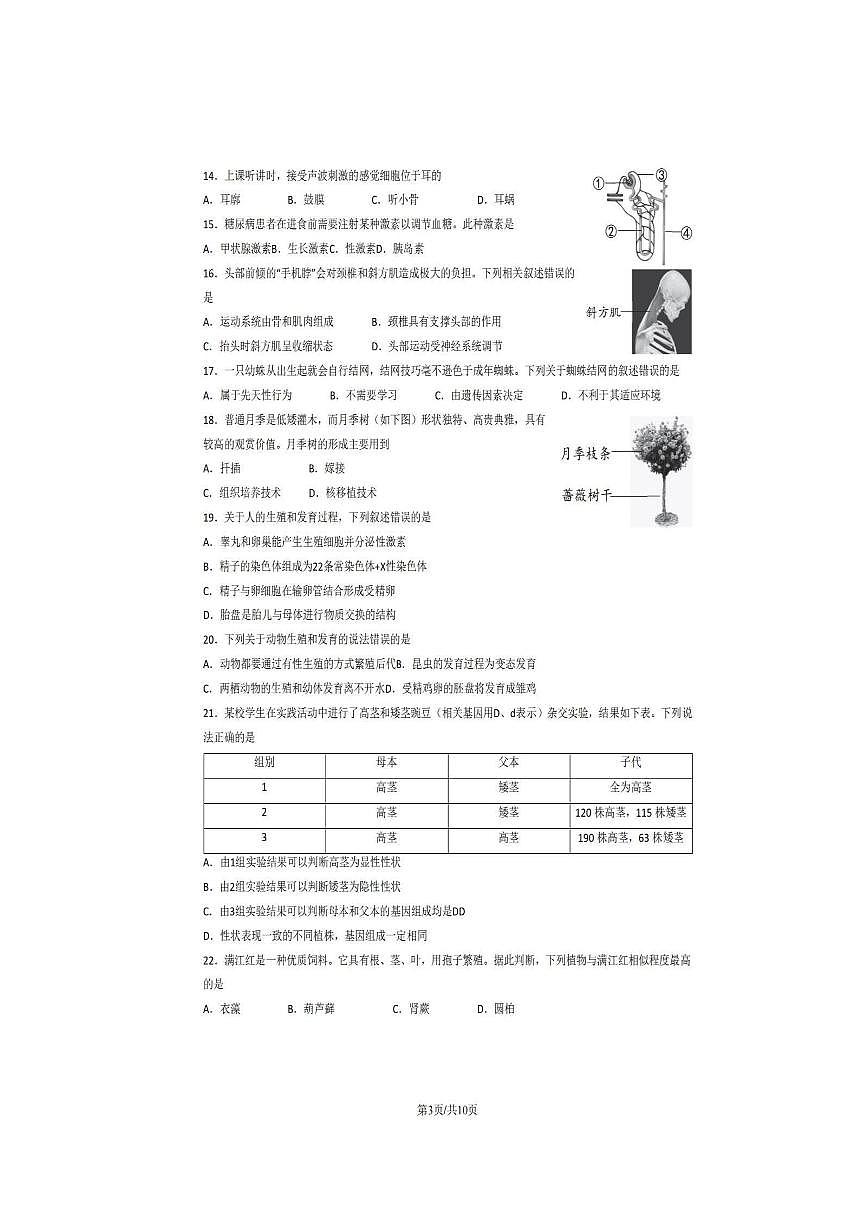 2023年北京西城初二二?？忌镌嚲砑按鸢附馕龅?頁