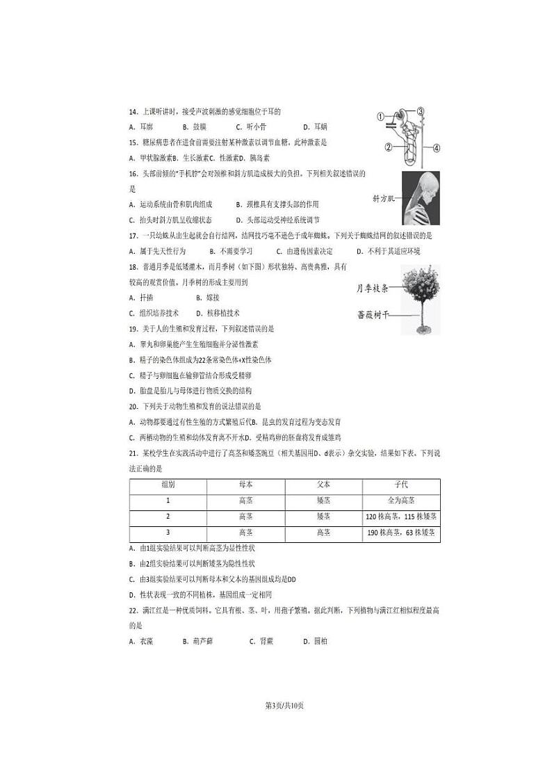 2023年北京西城初二二模考生物试卷及答案解析第3页