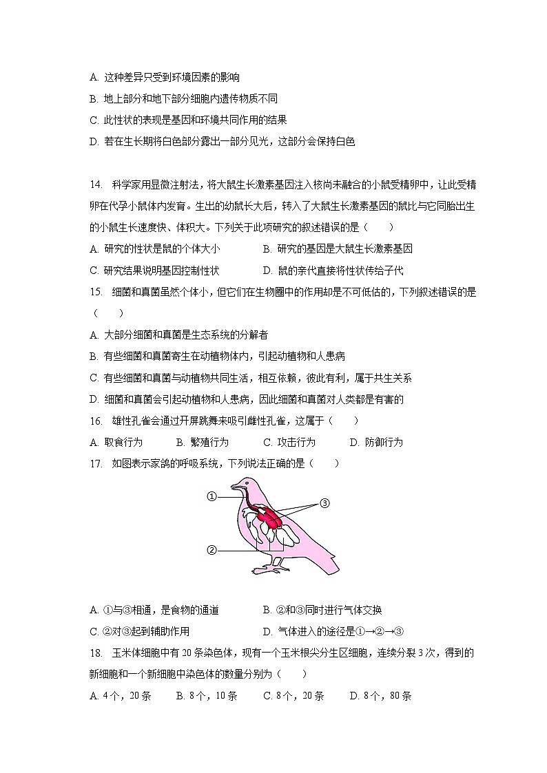 2023年吉林省松原市宁江一中、宁江五中等校联考中考生物二模试卷(含解析)03