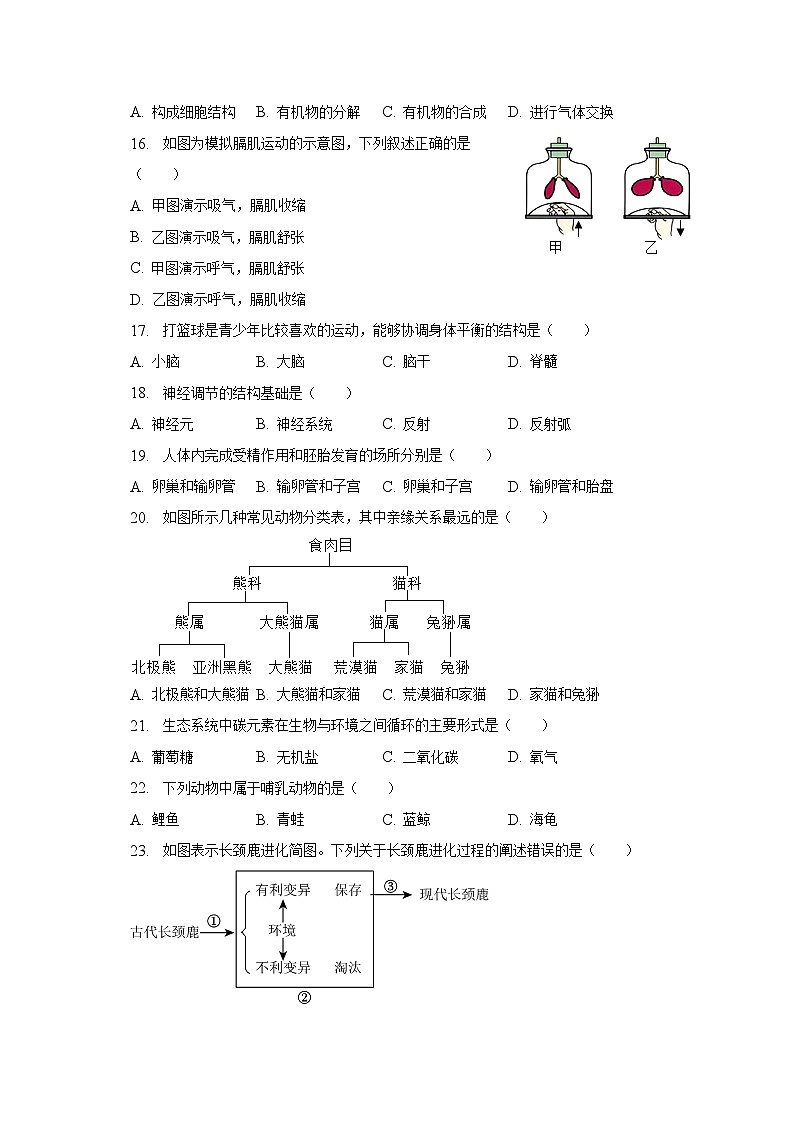 2023年北京市门头沟区中考生物一模试卷(含解析)03