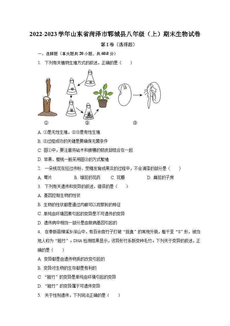 2022-2023学年山东省菏泽市郓城县八年级(上)期末生物试卷(含解析)01