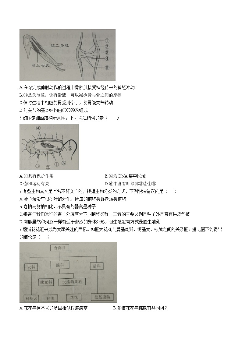 2023年山东省济宁市泗水县中考三模生物试题(含答案)第2页