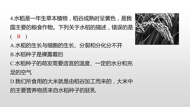 2022郴州市初中学业水平考试(生物真题卷)(有详细解析)课件PPT第6页