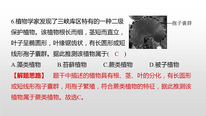 益阳市2022年初中学业水平考试(生物真题卷)(有详细解析)课件PPT第8页