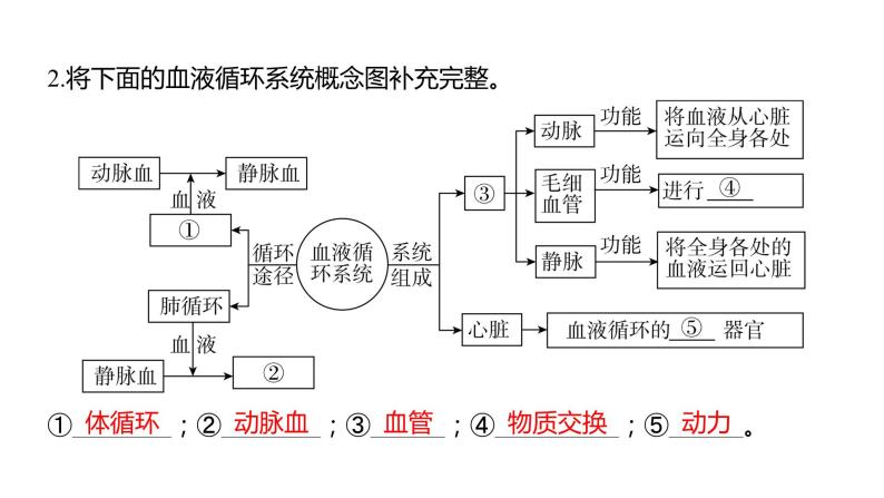 中考生物专题复习--题型二 识图作答题课件PPT04