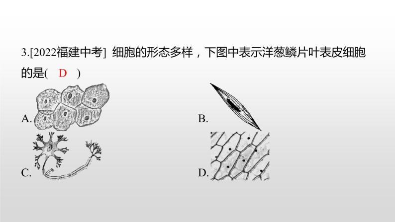 中考生物专题复习--新课标趋势卷——核心素养课件PPT04