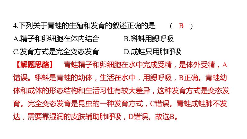 中考生物专题复习--专题七 生物的生殖、发育与遗传课件PPT第6页