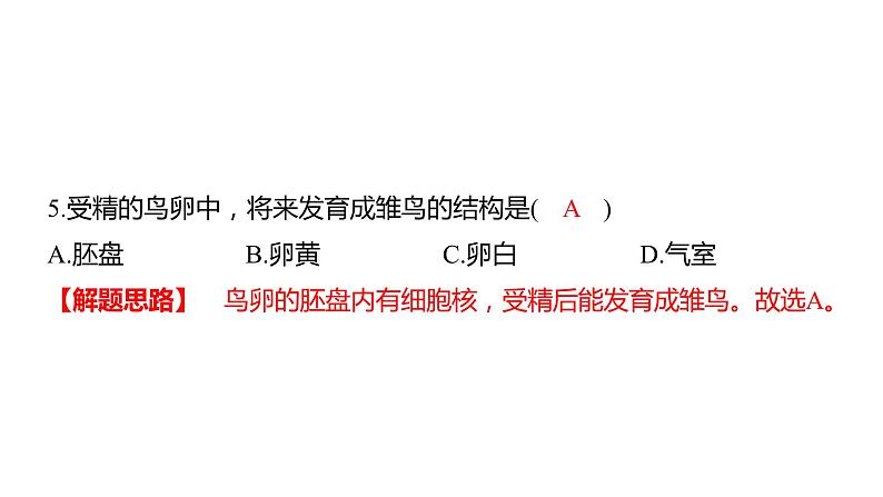 中考生物专题复习--专题七 生物的生殖、发育与遗传课件PPT第7页