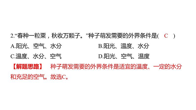 中考生物专题复习--专题四 生物圈中的绿色植物课件PPT第4页