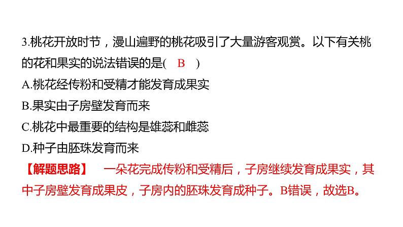 中考生物专题复习--专题四 生物圈中的绿色植物课件PPT第5页