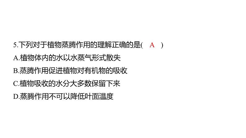 中考生物专题复习--专题四 生物圈中的绿色植物课件PPT第7页