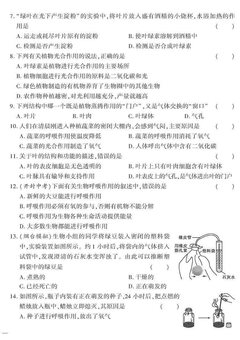 (2023秋)(初中)七年级上册-苏教版生物-第三单元 第六章测试题(一)02