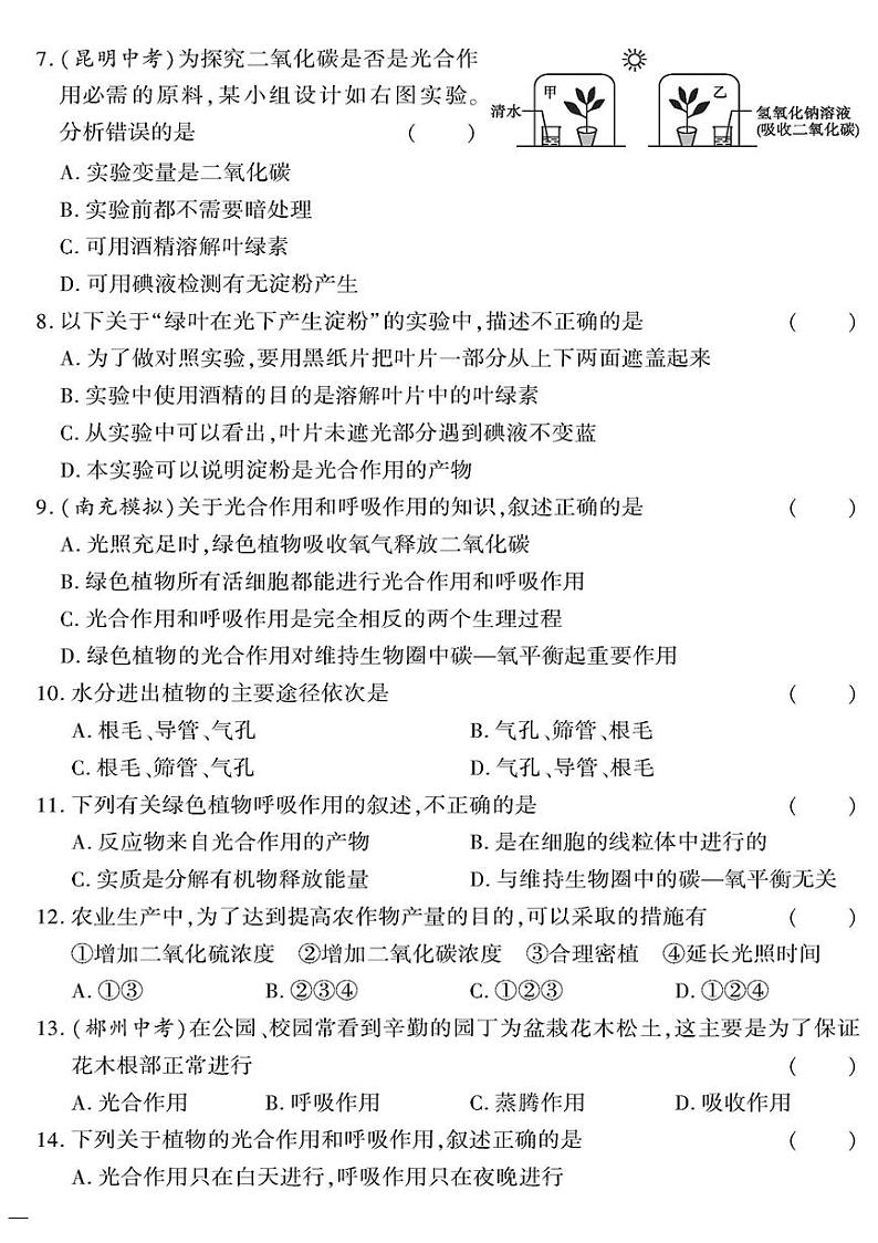 (2023秋)(初中)七年级上册-苏教版生物-专题四 绿色植物的生理作用测试题第2页