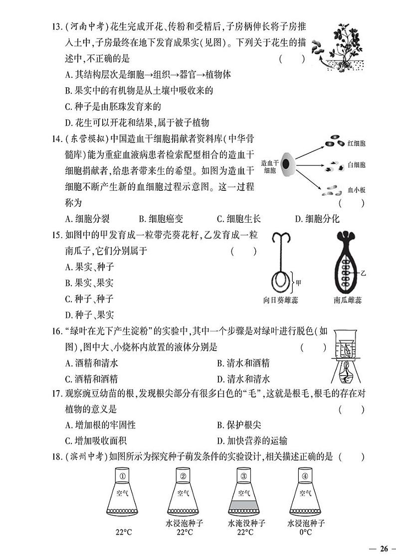 (2023秋)(初中)七年级上册-苏教版生物-期末测试题(一)第3页