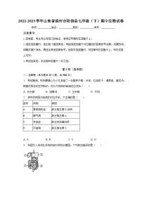 2022-2023学年山东省滨州市阳信县七年级（下）期中生物试卷（含解析）