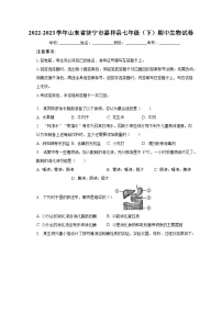 2022-2023学年山东省济宁市嘉祥县七年级（下）期中生物试卷（含解析）