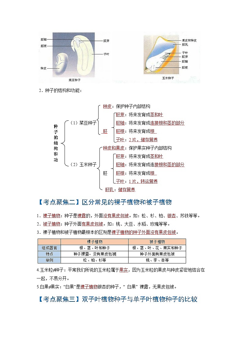 考点04 生物圈中有哪些绿色植物、被子植物的一生 中考生物知识手册速查(人教版)第2页