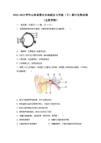 2022-2023学年山东省泰安市高新区七年级（下）期中生物试卷 （五四学制）（含解析）