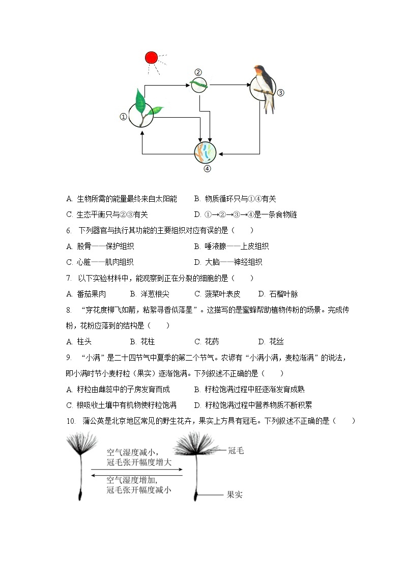 2022-2023学年北京十一学校亦庄实验中学八年级（下）期中生物试卷（含解析）02