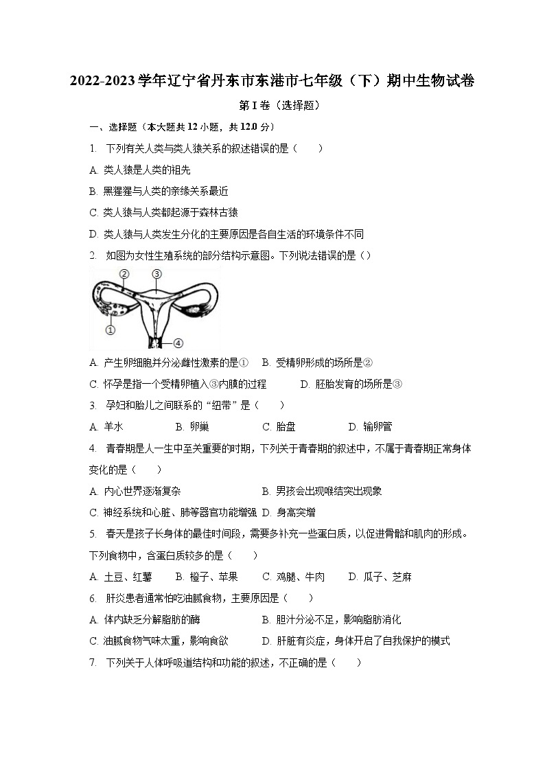 2022-2023学年辽宁省丹东市东港市七年级（下）期中生物试卷（含解析）01