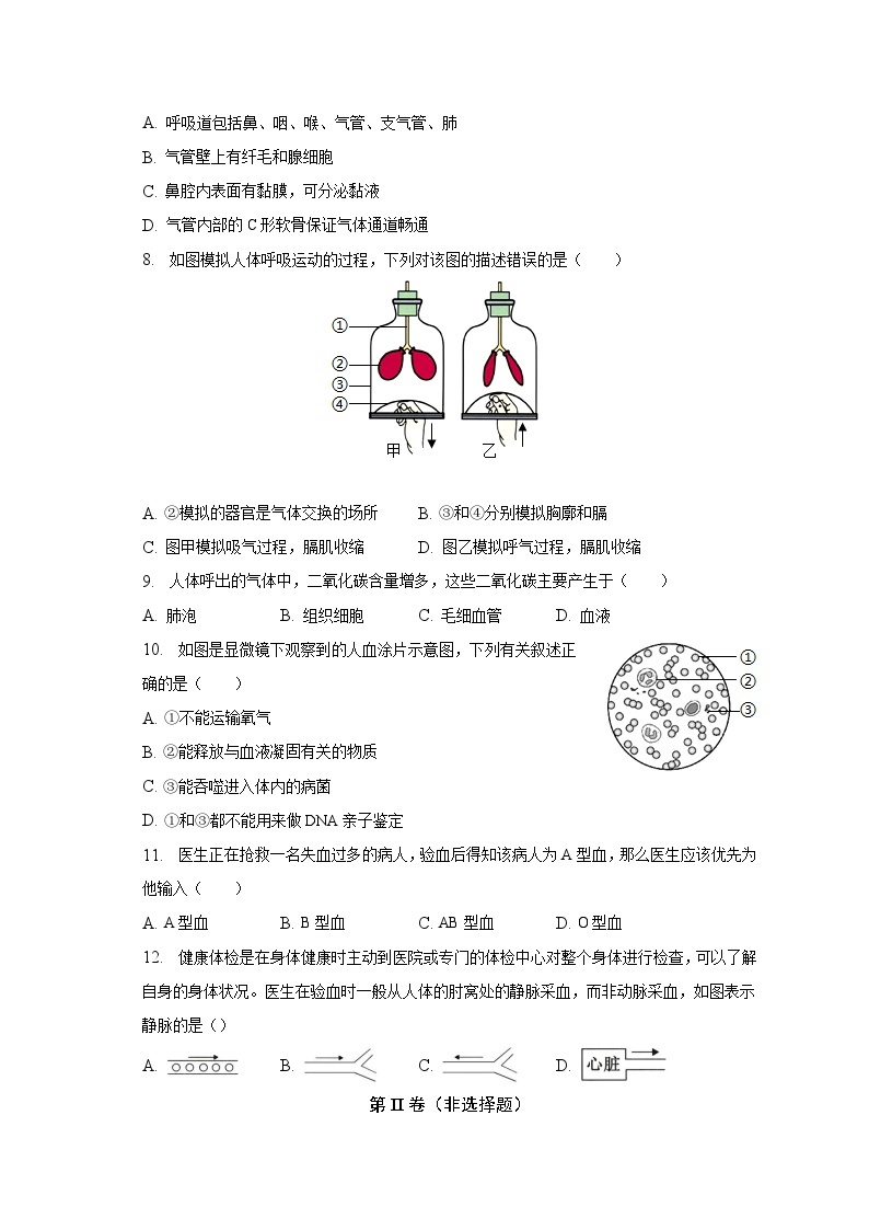 2022-2023学年辽宁省丹东市东港市七年级（下）期中生物试卷（含解析）02