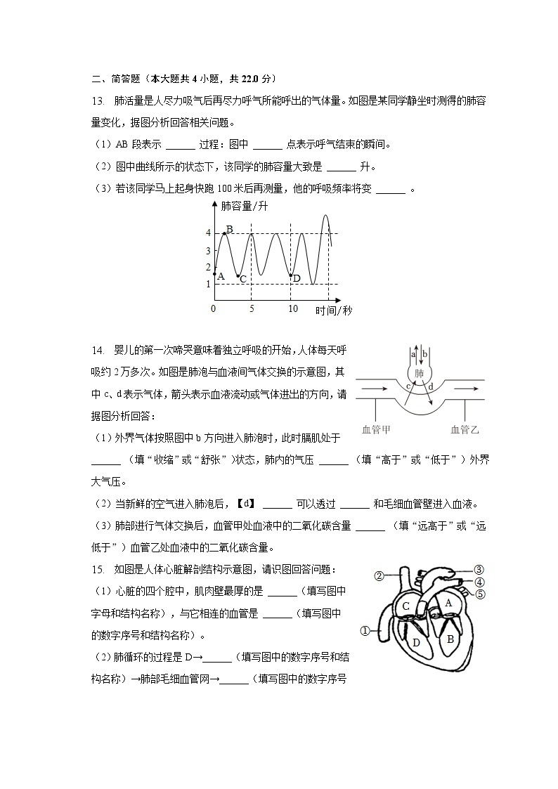 2022-2023学年辽宁省丹东市东港市七年级（下）期中生物试卷（含解析）03