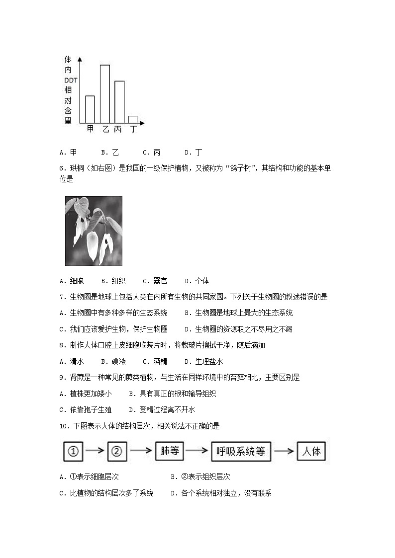 山西省吕梁市孝义市2022-2023学年七年级上学期期末生物试题02