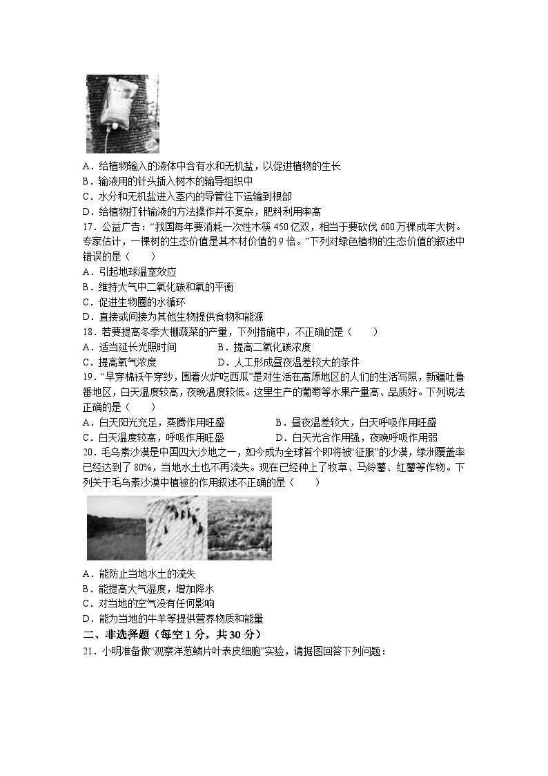 河南省永城市2022-2023学年七年级上学期期末生物试题03
