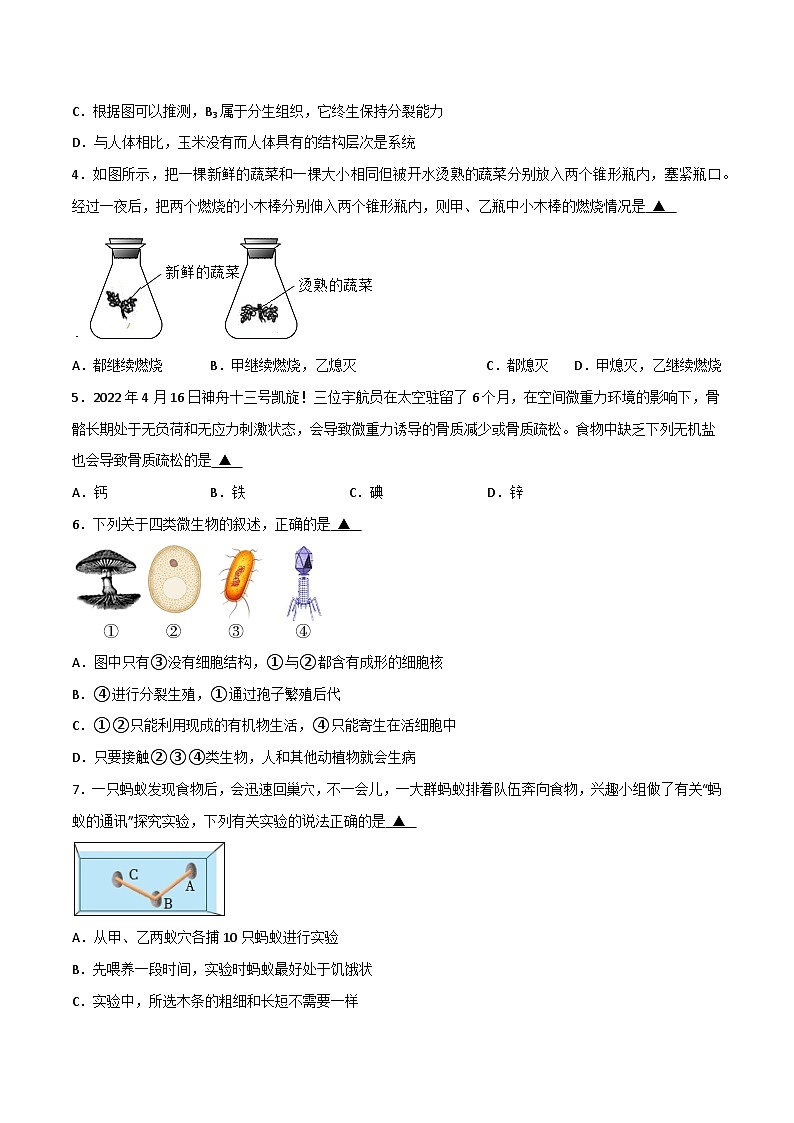黄金卷1(徐州专用)(原卷版)第2页