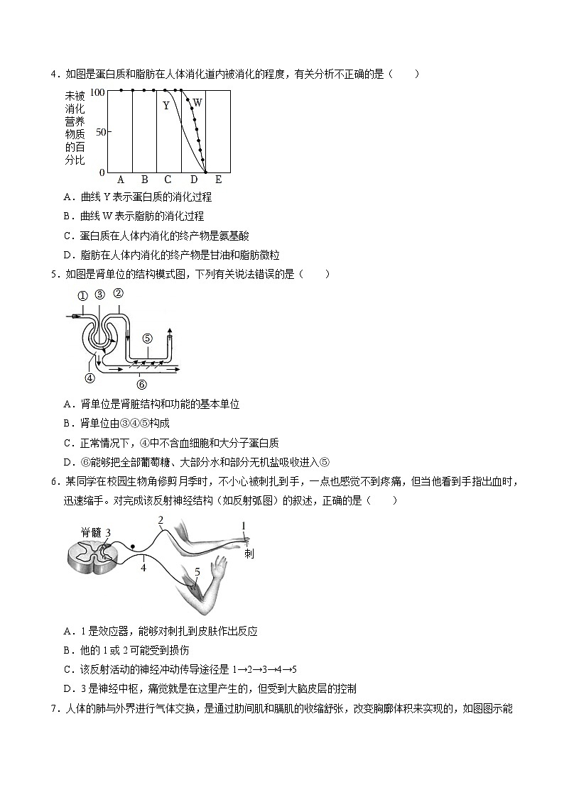 压轴题05 生物圈中的人——2023年会考生物压轴题特训(原卷版)第3页