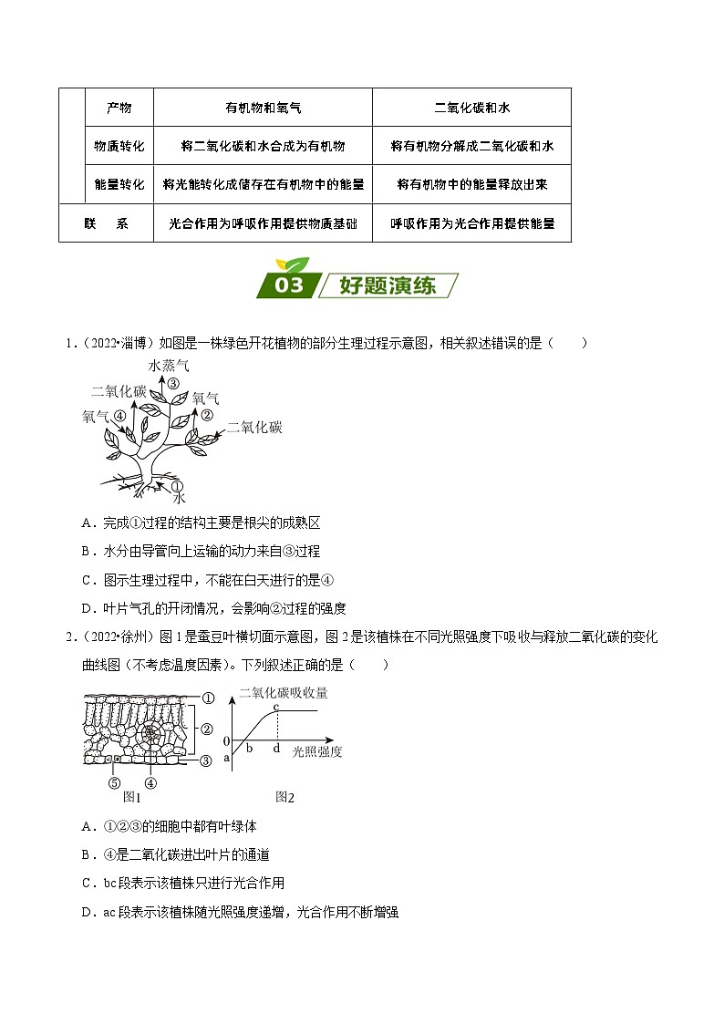 易错点04 绿色植物的蒸腾作用、光合作用和呼吸作用——2023年会考初中生物易错点专练学案03
