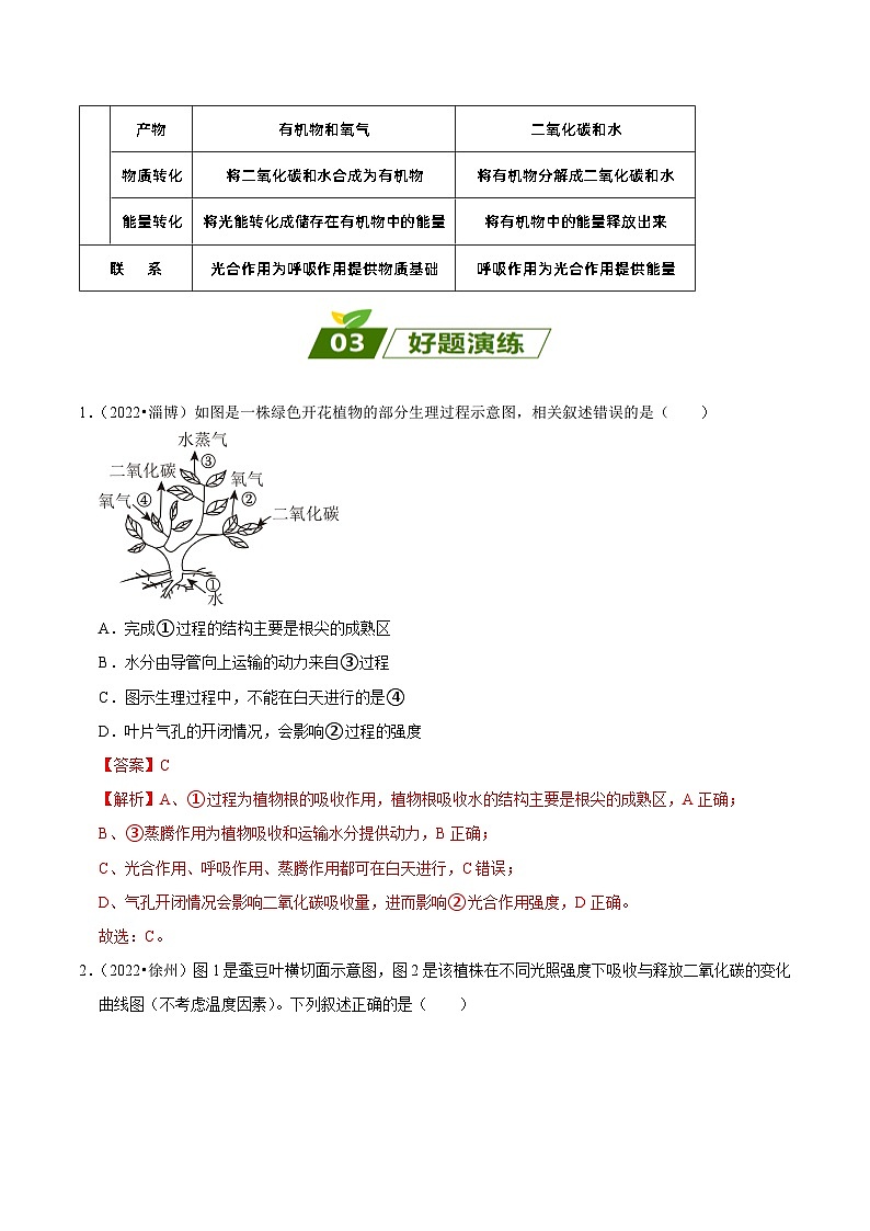 易错点04 绿色植物的蒸腾作用、光合作用和呼吸作用——2023年会考初中生物易错点专练学案03