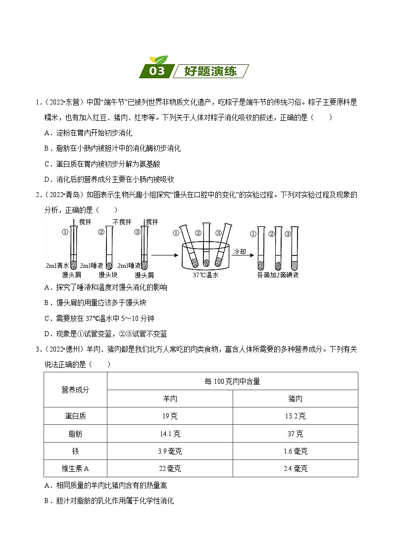易错点05 人体的营养——2023年会考初中生物易错点专练学案03
