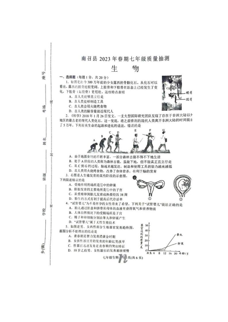 河南省南召县2023春期七年级下册生物抽考试卷01