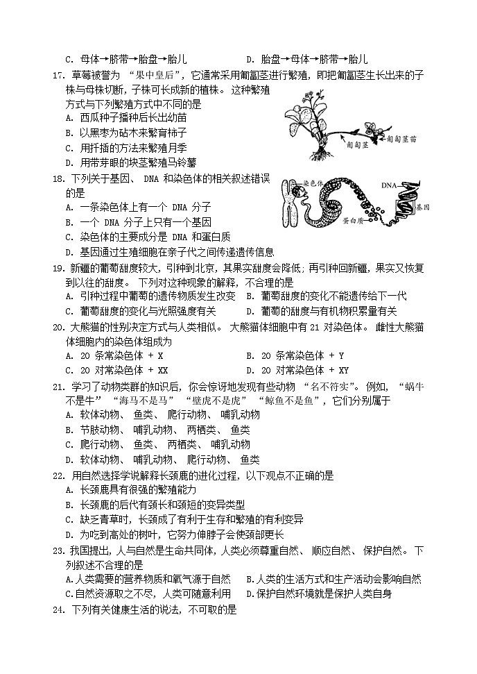 2023年北京市平谷区中考二模生物试题(含答案)第3页