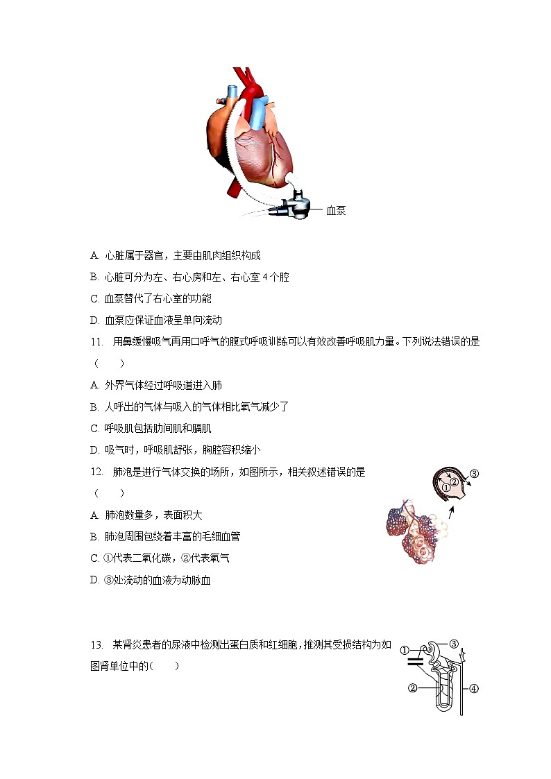 2023年北京市西城区中考生物二模试卷(含解析)03
