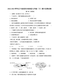 2022-2023学年辽宁省沈阳市法库县七年级（下）期中生物试卷（含解析）